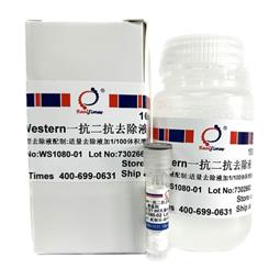 Western一抗二抗去除液（中性，劇烈型）