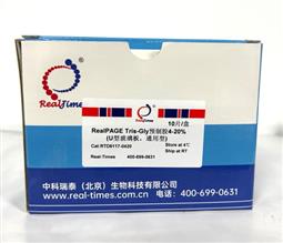 12%RealPAGE Tris-Glycine預(yù)制膠（塑料板） 15孔