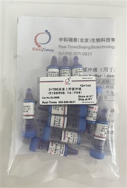 2×TBE尿素上樣緩沖液（用于尿素變性膠，不含二甲苯菁）