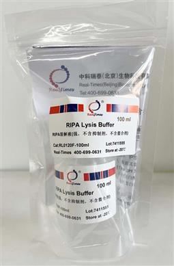 RIPA裂解液(強，不含抑制劑，不含螯合劑)