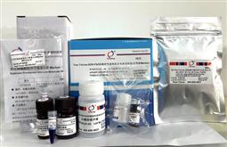 Tris-Tricine-SDS-PAGE凝膠快速制備及電泳試劑盒（含預染Marker）