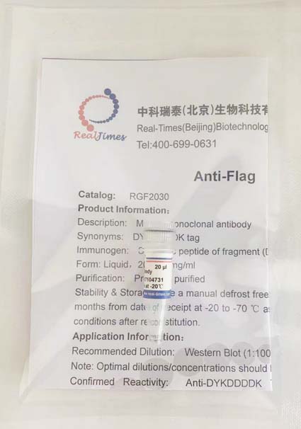 Anti-Flag抗體(鼠單抗)