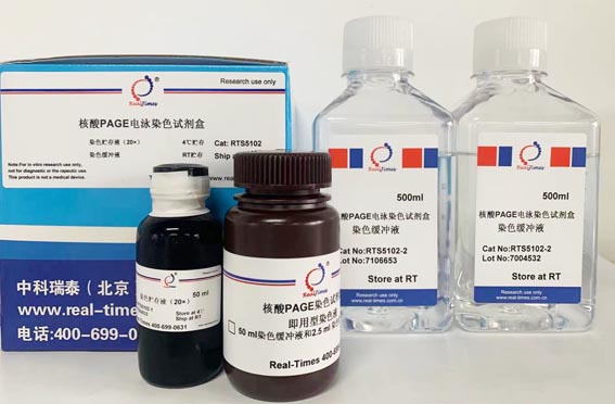 核酸PAGE電泳染色試劑盒